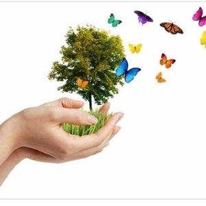 Meet your Posher, Kimmer